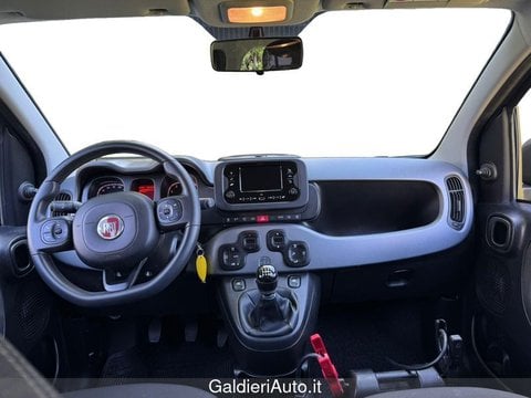 Auto Usate A Avellino | Fiat Panda 1.0 70Cv Hybrid Panda