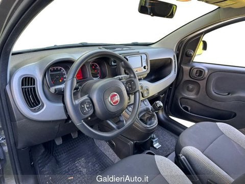 Auto Usate A Avellino | Fiat Panda 1.0 70Cv Hybrid Panda