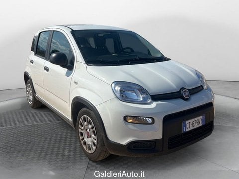 Auto Usate A Avellino | Fiat Panda My24 1.0 70Cv Hybrid Panda