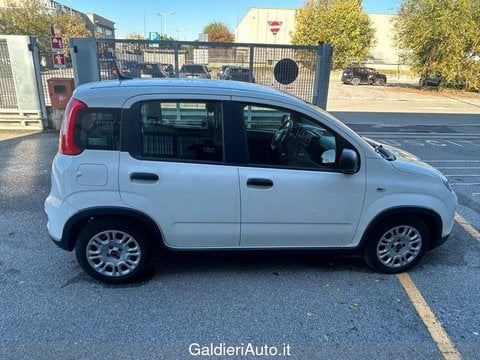 Auto Usate A Avellino | Fiat Panda My24 1.0 70Cv Hybrid Panda