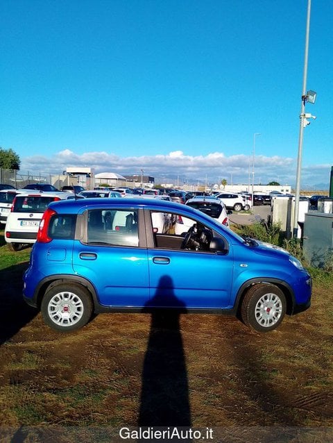 Auto Usate A Avellino | Fiat Panda My24 1.0 70Cv Hybrid Panda