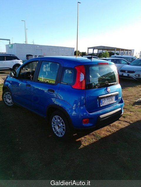 Auto Usate A Avellino | Fiat Panda My24 1.0 70Cv Hybrid Panda