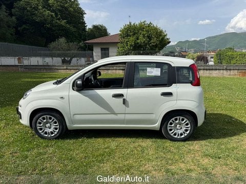 Auto Usate A Avellino | Fiat Pandina 1.0 65Cv Hybrid Icon