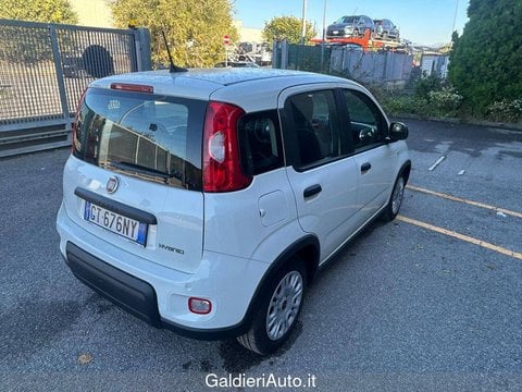 Auto Usate A Avellino | Fiat Panda My24 1.0 70Cv Hybrid Panda