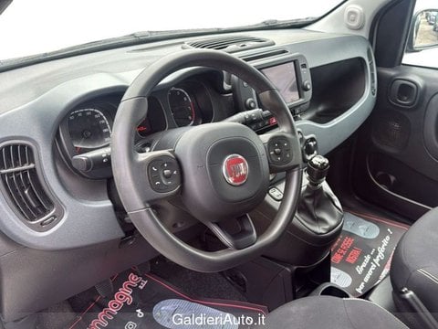 Auto Usate A Avellino | Fiat Panda 1.0 70Cv Hybrid Cross