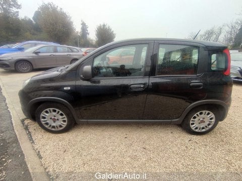 Auto Usate A Avellino | Fiat Panda 1.0 70Cv Hybrid Panda