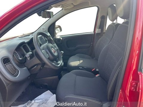 Auto Usate A Avellino | Fiat Panda 1.0 70Cv Hybrid Cross