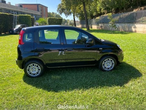 Auto Usate A Avellino | Fiat Panda 1.0 70Cv Hybrid Gpl Brc - Block Shaft