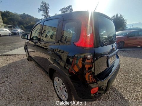 Auto Usate A Avellino | Fiat Panda 1.0 70Cv Hybrid Panda
