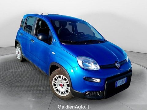 Auto Usate A Avellino | Fiat Panda My24 1.0 70Cv Hybrid Panda