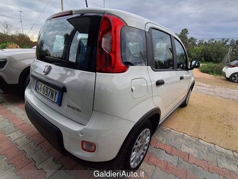 Auto Usate A Avellino | Fiat Panda My24 1.0 70Cv Hybrid Panda