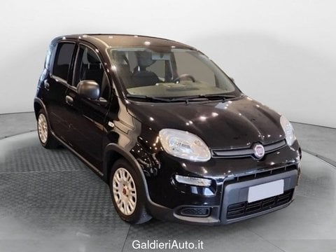 Auto Usate A Salerno | Fiat Panda 1.0 70Cv Hybrid Panda