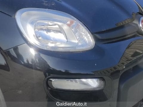 Auto Usate A Avellino | Fiat Panda 1.0 70Cv Hybrid Panda