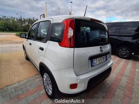 Auto Usate A Avellino | Fiat Panda My24 1.0 70Cv Hybrid Panda