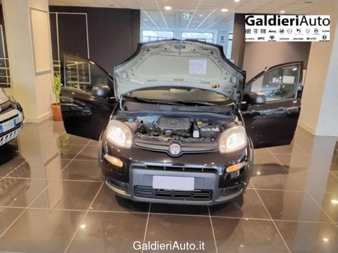 Auto Usate A Salerno | Fiat Panda 1.0 70Cv Hybrid Panda