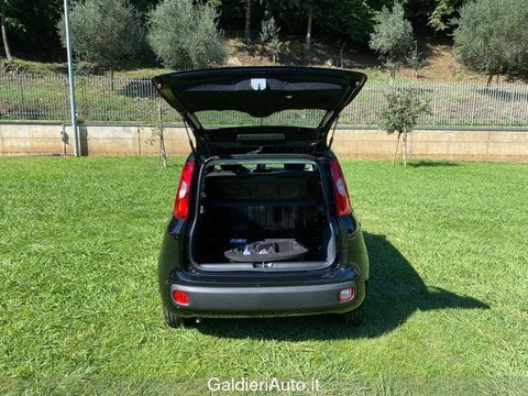 Auto Usate A Avellino | Fiat Panda 1.0 70Cv Hybrid Gpl Brc - Block Shaft