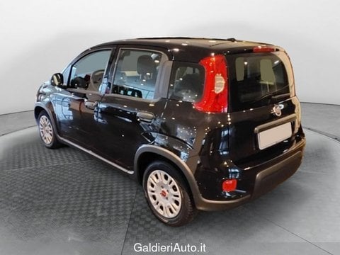 Auto Usate A Salerno | Fiat Panda 1.0 70Cv Hybrid Panda