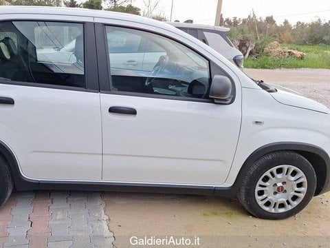 Auto Usate A Avellino | Fiat Panda My24 1.0 70Cv Hybrid Panda