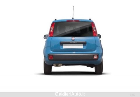 Auto Usate A Salerno | Fiat Panda Iii 2021 1.0 Firefly Hybrid S&S 70Cv