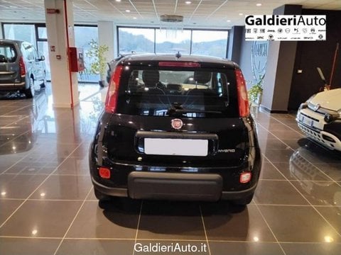 Auto Usate A Salerno | Fiat Panda 1.0 70Cv Hybrid Panda