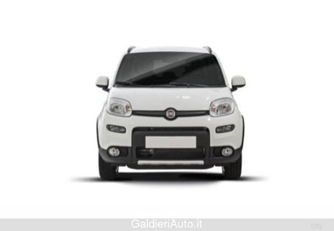 Auto Usate A Salerno | Fiat Panda Iii 2021 4X4 0.9 T.air T. Wild 4X4 S&S 85Cv 5P.ti