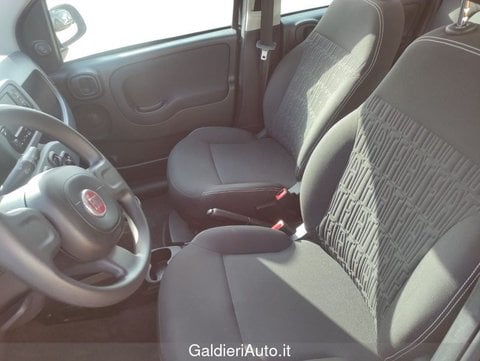 Auto Usate A Avellino | Fiat Panda 1.0 70Cv Hybrid Panda