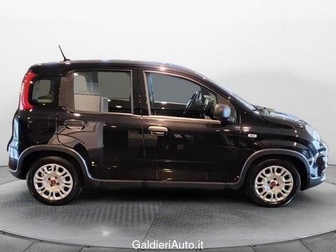 Auto Usate A Salerno | Fiat Panda 1.0 70Cv Hybrid Panda