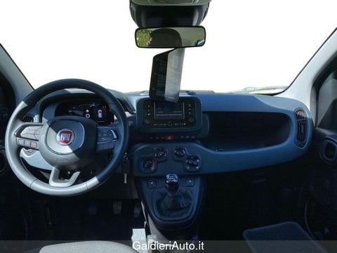 Auto Usate A Avellino | Fiat Panda 1.0 70Cv Hybrid Gpl Brc - Block Shaft