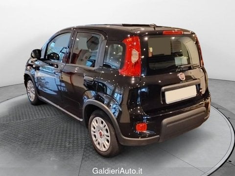 Auto Usate A Avellino | Fiat Panda 1.0 70Cv Hybrid Panda