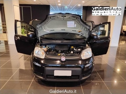 Auto Usate A Avellino | Fiat Panda 1.0 70Cv Hybrid Panda