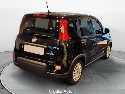 Auto Usate A Avellino | Fiat Panda 1.0 70Cv Hybrid Panda