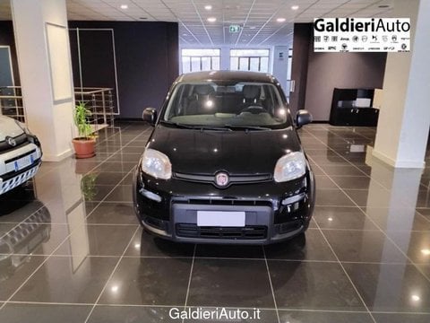 Auto Usate A Salerno | Fiat Panda 1.0 70Cv Hybrid Panda