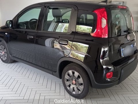 Auto Usate A Avellino | Fiat Panda 1.0 70Cv Hybrid
