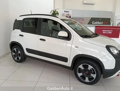 Auto Usate A Avellino | Fiat Panda 1.0 70Cv Hybrid Cross