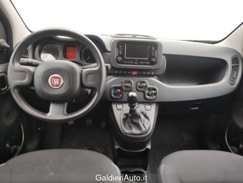 Auto Usate A Avellino | Fiat Panda 1.0 70Cv Hybrid Panda