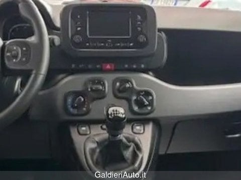 Auto Usate A Avellino | Fiat Panda 1.0 70Cv Hybrid Panda