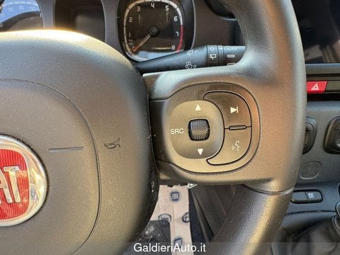 Auto Usate A Avellino | Fiat Panda 1.0 70Cv Hybrid Cross