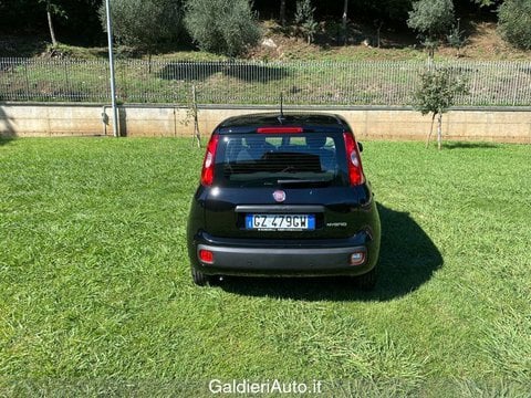 Auto Usate A Avellino | Fiat Panda 1.0 70Cv Hybrid Gpl Brc - Block Shaft