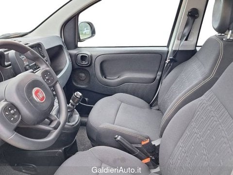 Auto Usate A Avellino | Fiat Panda My24 1.0 70Cv Hybrid Panda