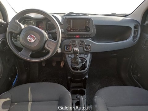 Auto Usate A Avellino | Fiat Panda 1.0 70Cv Hybrid Panda