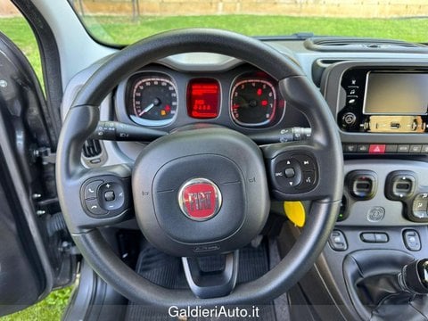 Auto Usate A Avellino | Fiat Panda 1.0 70Cv Hybrid Panda
