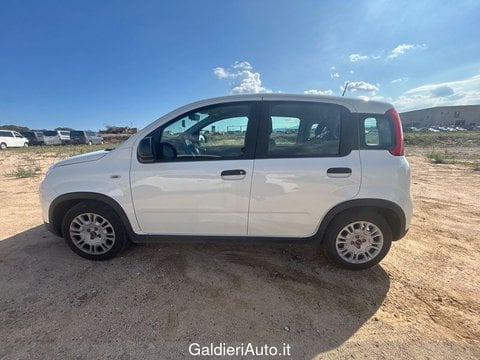 Auto Usate A Avellino | Fiat Panda My24 1.0 70Cv Hybrid Panda