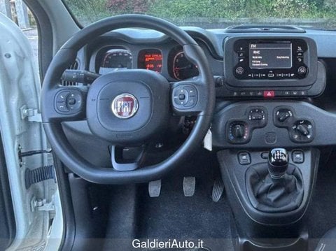 Auto Usate A Avellino | Fiat Panda My24 1.0 70Cv Hybrid Panda