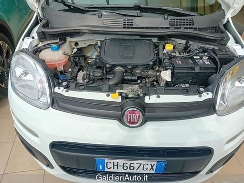 Auto Usate A Salerno | Fiat Professional Panda Van Van 1.0 Hybrid Pop 70Cv 2Posti Serie 4 E6D