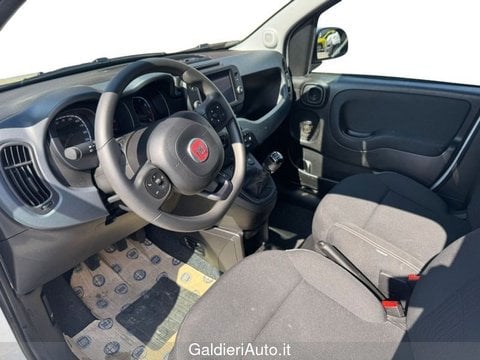 Auto Usate A Avellino | Fiat Panda 1.0 70Cv Hybrid Cross