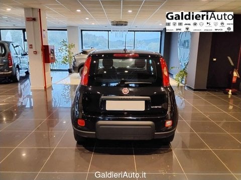 Auto Usate A Avellino | Fiat Panda 1.0 70Cv Hybrid Panda
