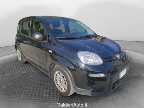 Auto Usate A Avellino | Fiat Panda 1.0 70Cv Hybrid Panda