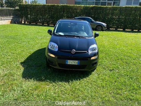 Auto Usate A Avellino | Fiat Panda 1.0 70Cv Hybrid Gpl Brc - Block Shaft
