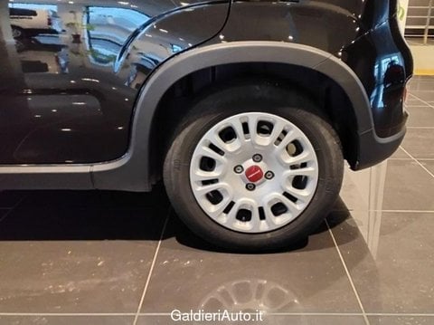 Auto Usate A Avellino | Fiat Panda 1.0 70Cv Hybrid Panda