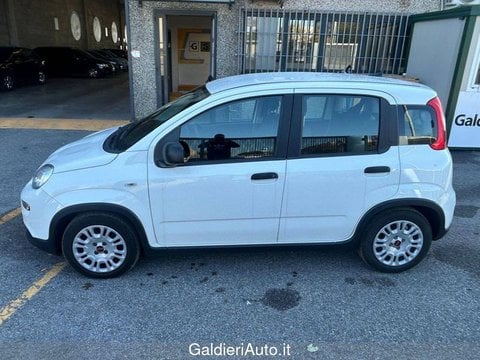 Auto Usate A Avellino | Fiat Panda My24 1.0 70Cv Hybrid Panda